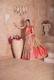 Np Saree  DN 9747A TO 9747D